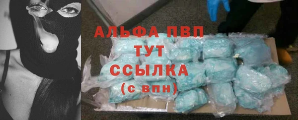 трава Балахна
