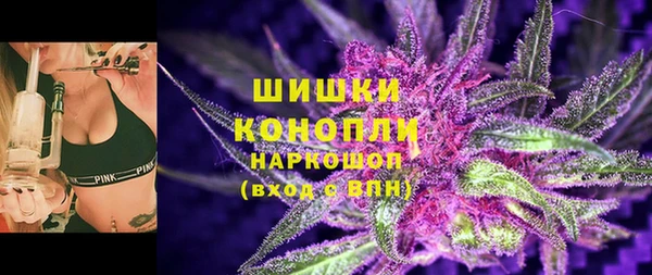 СК Белокуриха