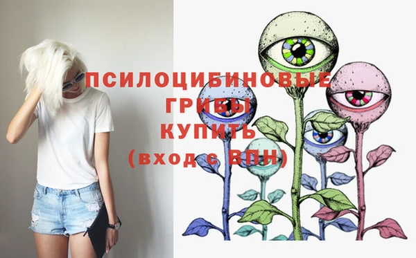 СК Белокуриха