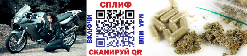 где продают наркотики  Губкинский  Конопля индика 
